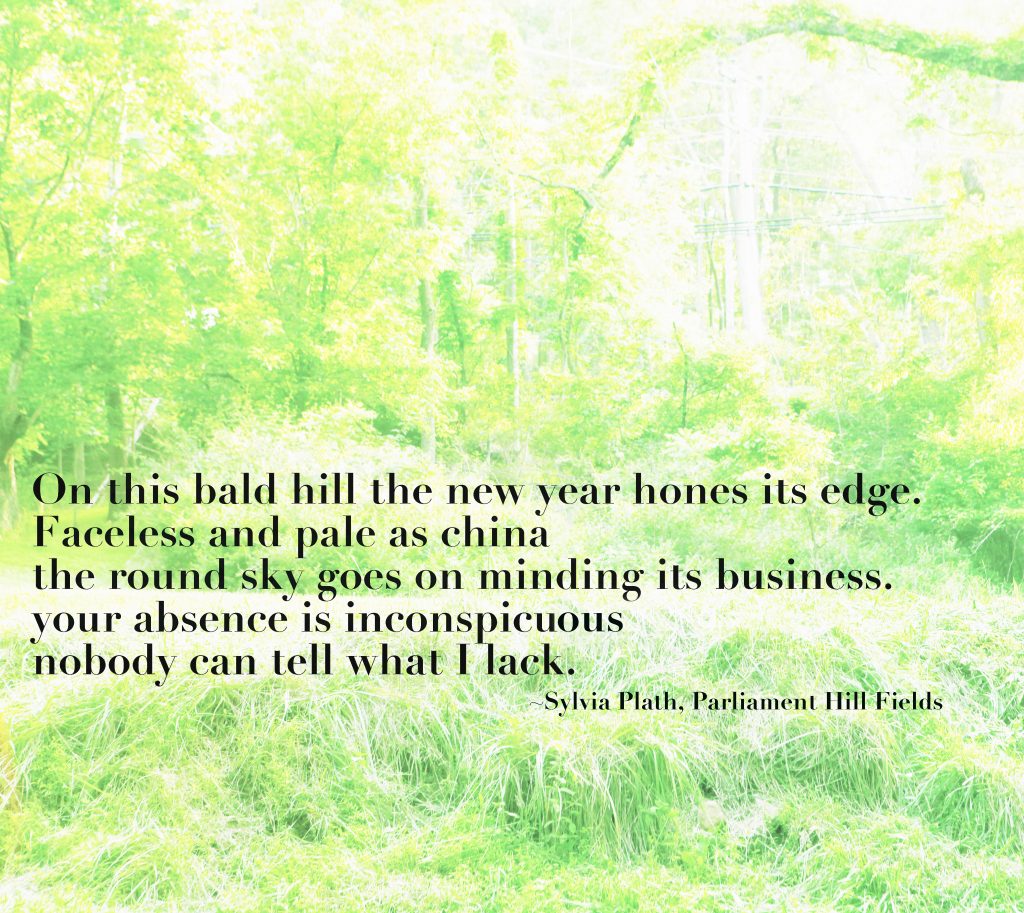 Parliament Hill Fields Poem:
"On this bald hill the new year hones its edge.
Faceless and pale as china the round sky goes on minding its business. Your absence is inconspicuous nobody can tell what I lack."