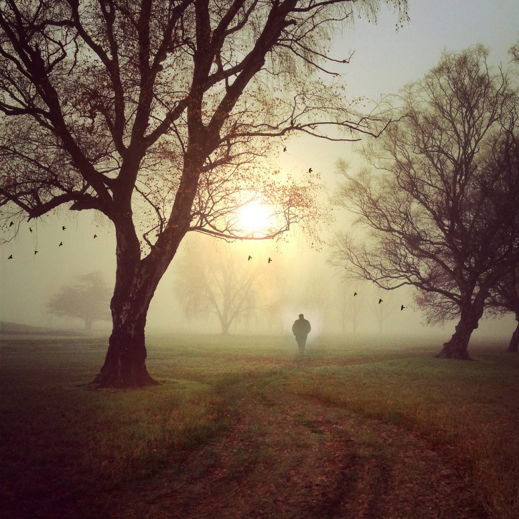 walk-445272_1280
